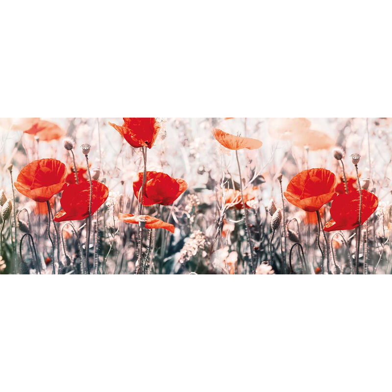| mit 0,4 m | Wohnzimmer Rotes Blumen Schlafzimmer mit - Leinwandbild Sommer und ideal für Mohnblumen mit Bild x Wandbild Blumenwiese 1,0 Leinwand