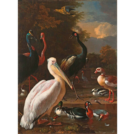 Kunst Fototapete Vögel  Besondere Bildtapete Flamingo Ente und