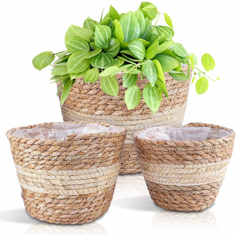 3 cestas de hierba marina, cesta de almacenamiento para decoración del hogar, cesta de maceta, cesta de flores, regalos de maceta natural para niños adultos (3 tamaños)