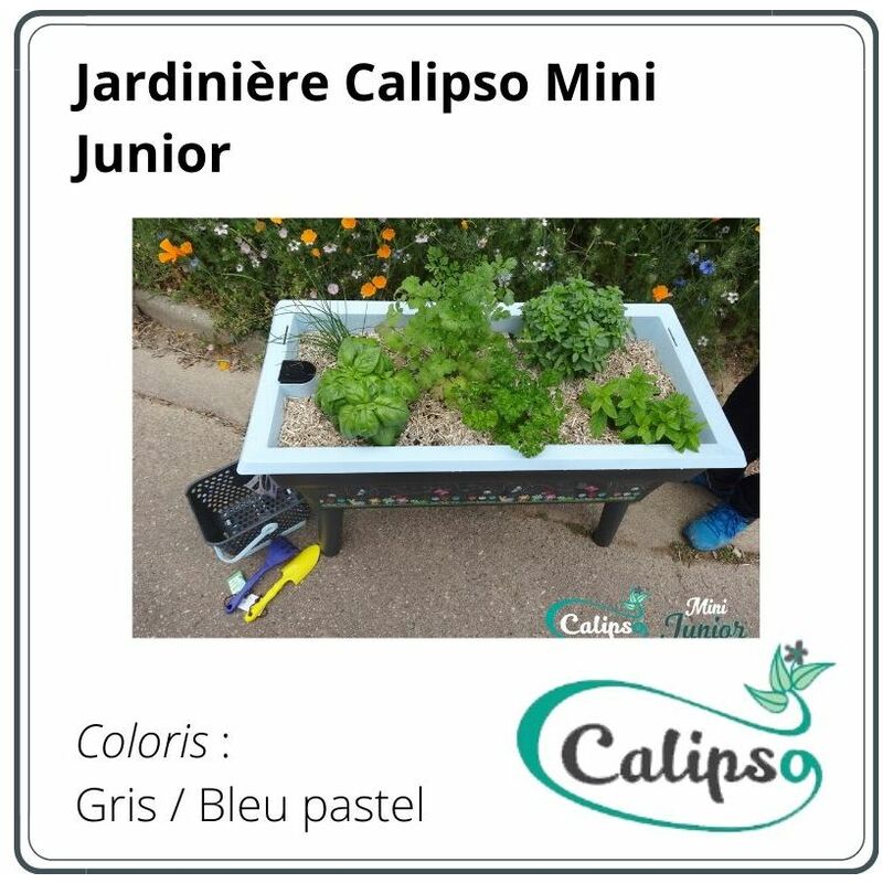 Jardiniere Calipso MINI JUNIOR 40L Gris/Bleu Pastel + 1 panier