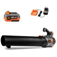 Soffiatore a batteria 20V FX-E1LB20 FUXTEC - con 2xbatterie 2Ah e caricabatterie
