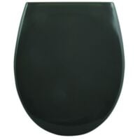 Abattant wc 2024 gris anthracite