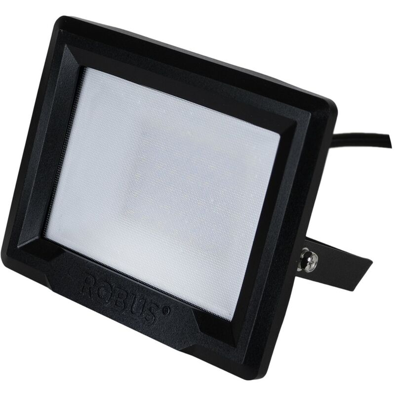 robus 100w led floodlight