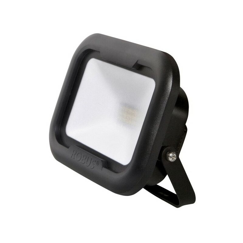 robus security light