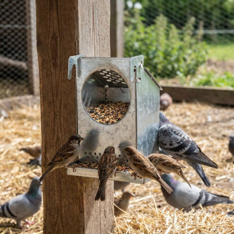 Ciieeo Taubenfuttertrog – Großer Futterautomat F Produktbild-Vorschau 2