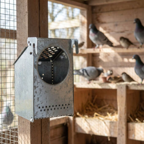 Ciieeo Taubenfuttertrog – Großer Futterautomat F Produktbild-Vorschau 3