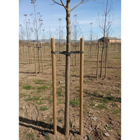 10 Stck Baumsttzen 150 cm  5 cm Pflanzstbe mit Spitze Pfosten fr  Zune, Grten und Pflanzen Holzpfosten