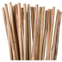 50 x Natürlicher Bambusstab 150 cm, 1012 mm Durchmesser. Pflanzstäbe