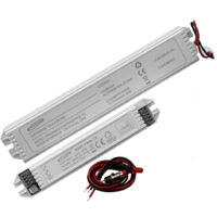 Kit sistema di emergenza per trasformare lampade a LED da 3w a 40w in luce anti black out 220V