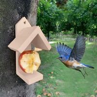 Jardin Alimentation Maison Fenêtre Oiseaux Nichoir Creatives Jeux Extérieur 