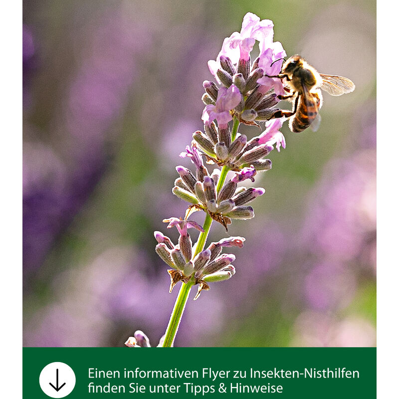 Dehner Natura ca. natur Kiefernholz/Metall, x 9 Flavia, Insektenhotel cm, x 28 19