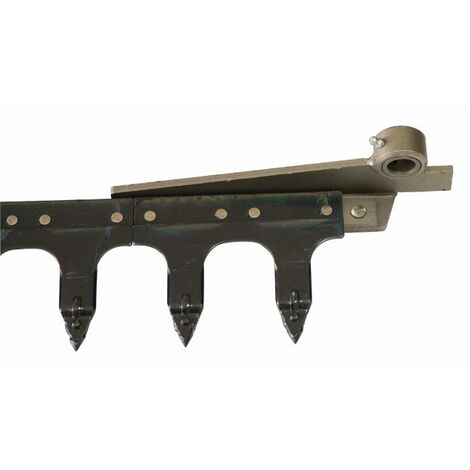 Dentiera 14 denti con testa tranciata lunghezza 2,05 mt adattabile a Gaspardo FB940 (1/4)