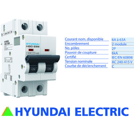 Disjoncteur modulaire 2P, 6kA, 20A, Courbe C