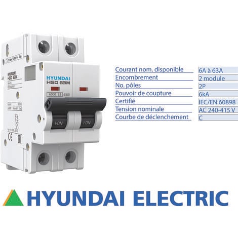 Disjoncteur modulaire 2P, 6kA, 50A, Courbe C