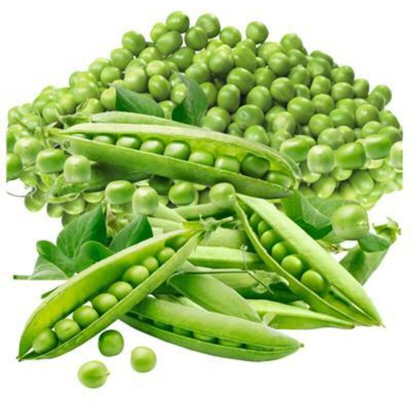 Vilmorin - PRECOVIL Semi Di Piselli A Grano Rotondo - Per Orto E Giardino - Lunghezza 5 Metri