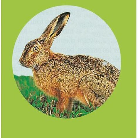 FOURRAGE POUR LAPINS - 1 KG - Graines