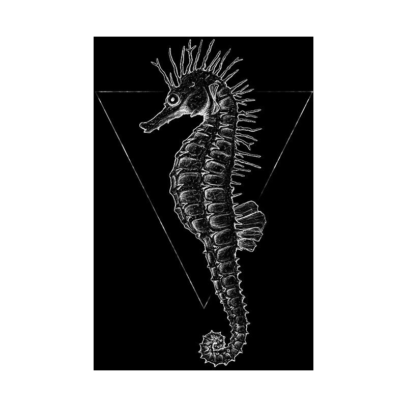 Komar Wandbild - Sea Horse Black - Größe: 30 x 40 cm