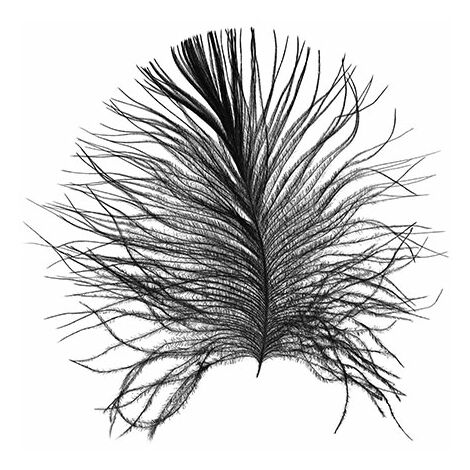 Komar Wandbild - Feather White cm x Größe: 40 30 