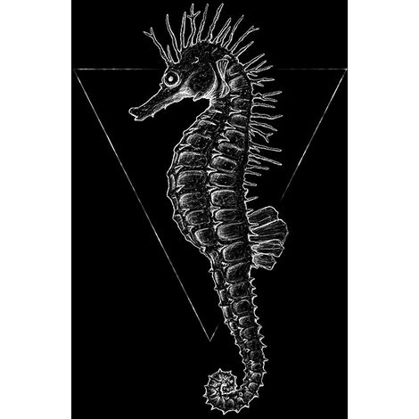 - Komar - Horse Größe: 30 x cm Black Wandbild 40 Sea