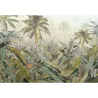 Photo murale intissé de Komar - Amazonia - Taille: 368 x 248 cm