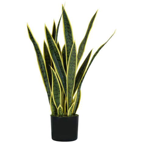 Pianta Ornamentale In Polietilene Per Decorazione 75cm (1/5)