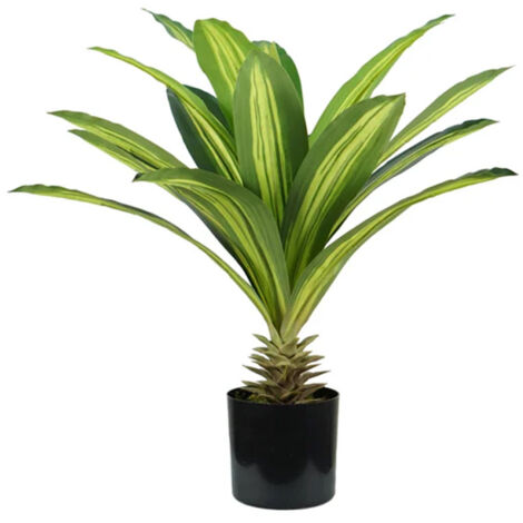Pianta Dracaena In Polietilene Con 19 Foglie E Vaso Con Muschio 60cm (1/5)