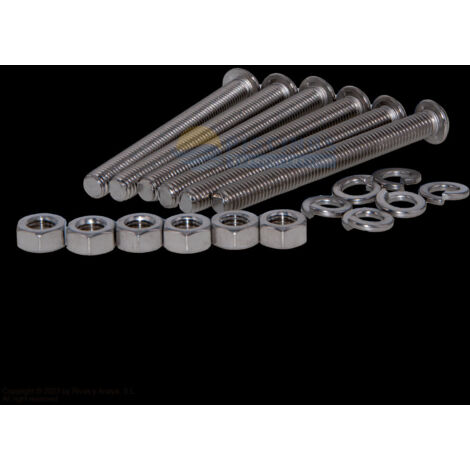 Kit tornillos peldaños 316 escaleras Astralpool.