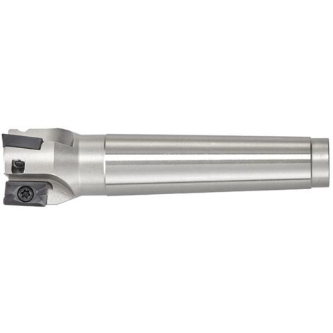 Fraser einsetzen Fervi f301/40cm4 (1/5)