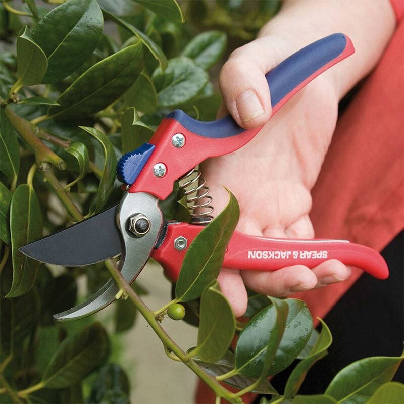 1 Pair, Garden Pruners, Pruning Shears For Gardening Heavy Duty With Rust  Proof Blades, Professional Gardening Tools (can Cut Small Pvc Pipes) (red), Shop Now For Limited-time Deals