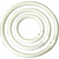 neon lampada circolare T9 22W 21 cm luce fredda risparmio energetico