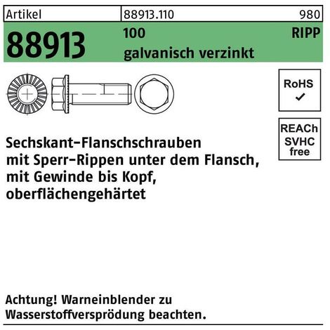 Sechskantflanschschraube R 88913 Sperr-Ripp VG M 8 x 12 100