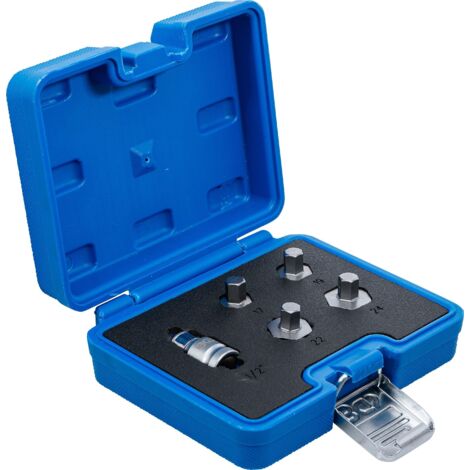 Motion Pro Ersatz D-Bit Für Innensechskant Treiber 08–0242 - 17,5 Cm Mit Bitsatz