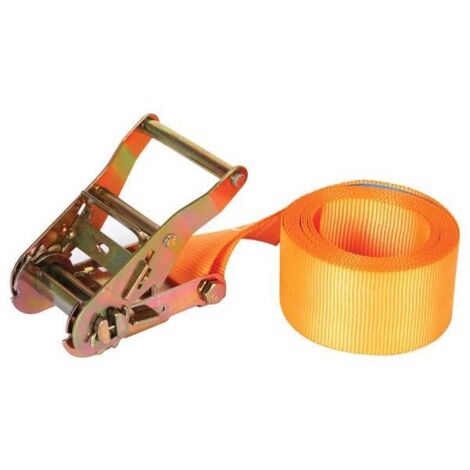 TECTOR® Spanngurt Mit Ratsche – 2000 Kg Zugkraft Produktbild-Vorschau 5