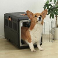 Iris Ohyama, Caisse de transport / Cage 2 Portes, Pliable Poignée Ventilation optimale pour chat & chien max 20 kg - Pet CarryFC-670, Noir