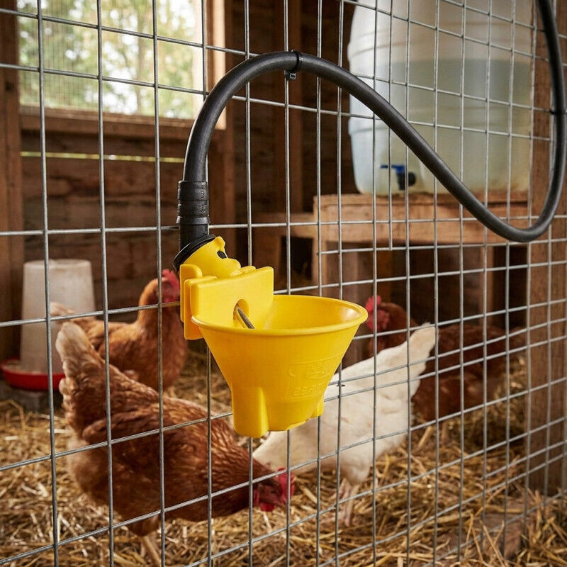Kit Mangiatoia E Abbeveratoio Per Pulcini 1L+1,5L – Alimentatore Automatico Per Pollai - 2