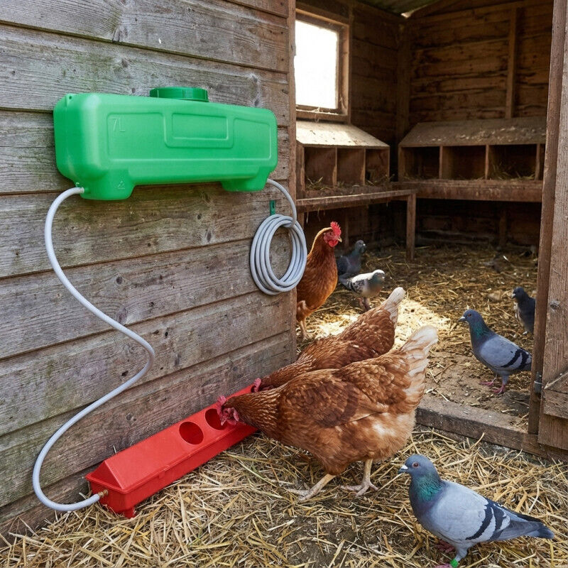 Distributore Di Acqua Per Rettili, Abbeveratoio Per Tartarughe Mangiatoia Per Tartarughe Distributore Di Cibo 2 In 1 Accessorio Per Ciotola In Plastica Antitraboccamento Marrone 86324663