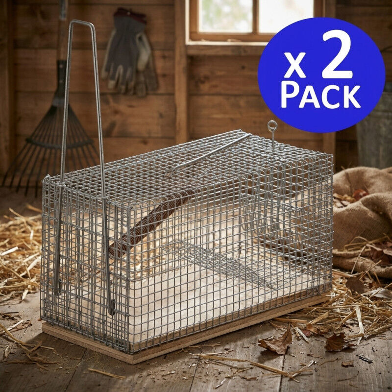 Critterkill Trappola Per Topi Umanitaria XL – Confezione Da 2 – Riutilizzabile