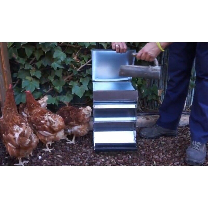 Mangiatoia per galline, polli e pulcini automatica - Sistema antispreco e  antitopo - 5 kg