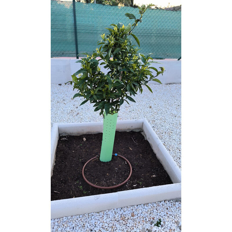 Set Di 4 Protezioni Per Piante In Rete Metallica – Gabbie Regolabili 34,5x30,5 Cm, Con Picchetti, Antianimali, Per Giardino E Orto