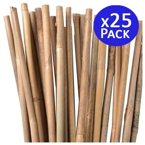 Canna di Bamboo per Orto Agricoltura - Stocker 180 cm