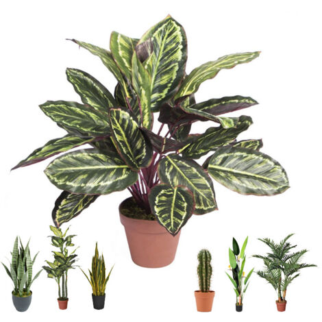 Pianta Artificiale Calathea Zebra 49cm con vaso Piante di plastica per la decorazione di giardini interni ed esterni