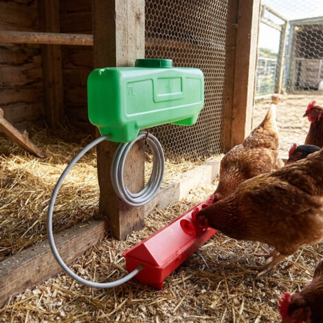 Kit mangiatoia e abbeveratoio per pulcini, mini mangiatoia automatica per abbeveratoio per polli per l'alimentazione | Leroy Merlin