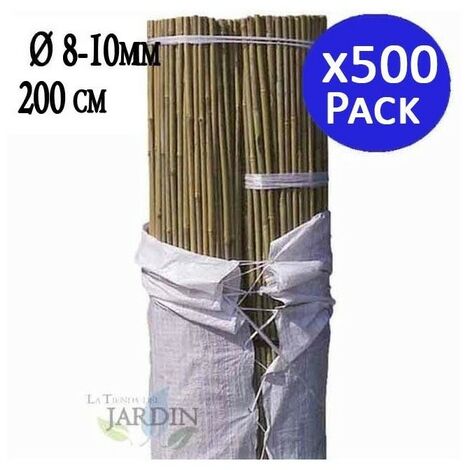 Canne di Bamboo 70 cm