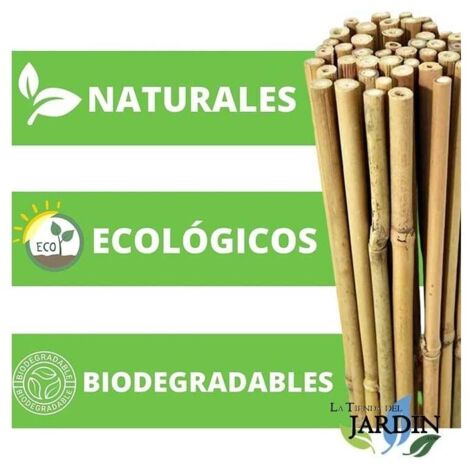 Tutori In Bambù Suinga – 100 Canne Da 100 Cm, Diametro 8-10 Mm – Supporti Per Piante, Ortaggi E Giardinaggio - 2