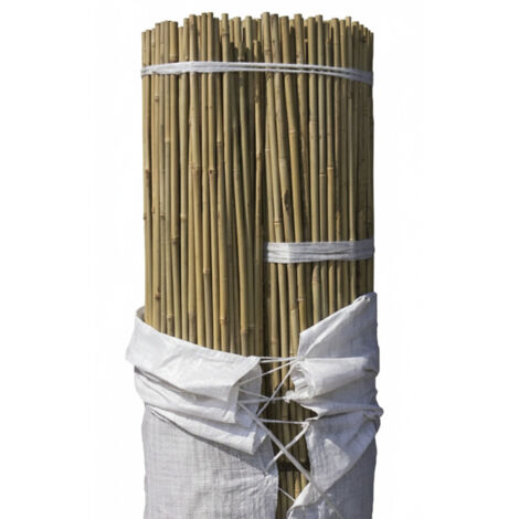 Set di 50 Tutori in Bambù per Piante 120 cm (8-10 mm) – Canne di Bambù