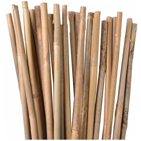 Set Da 100 Canne Di Bambù 20 Cm Acquista QUI - Foto 9