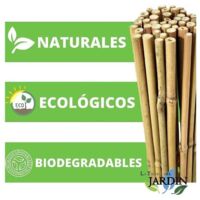 Suinga Tutori In Bambù Per Piante - 25 Canne Da 100 Cm (8-10 Mm) - Supporti Per Pomodori, Ortaggi E Rampicanti - 5