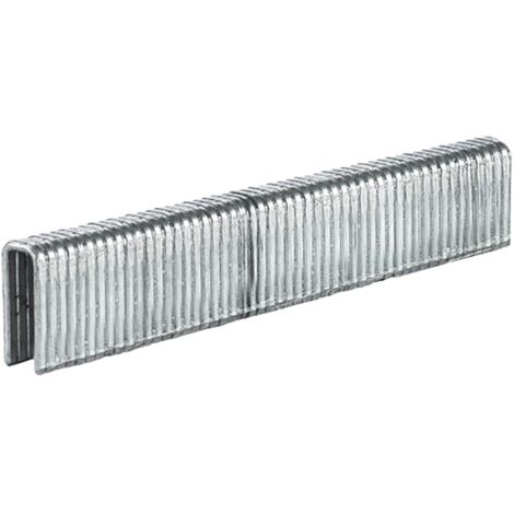 Einhell Boite de 3000 Agrafes 5x13 mm