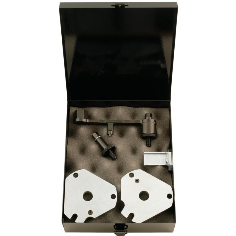 Jeu d&aposoutils de réglage moteur pour Fiat, 5 pcs