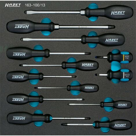 HAZET Jeu d'outils 163-466/106 ∙ Carré creux 6,3 mm (1/4